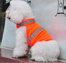 PETTORINA CANE ALTA VISIBILITA' RIFLETTENTE